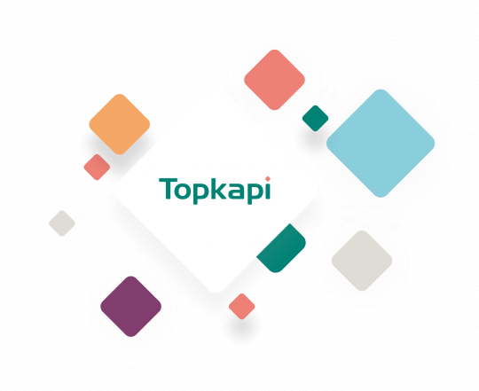 Logo Topkapi solutions