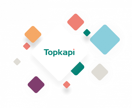 Logo Topkapi solutions Logo Topkapi solutions